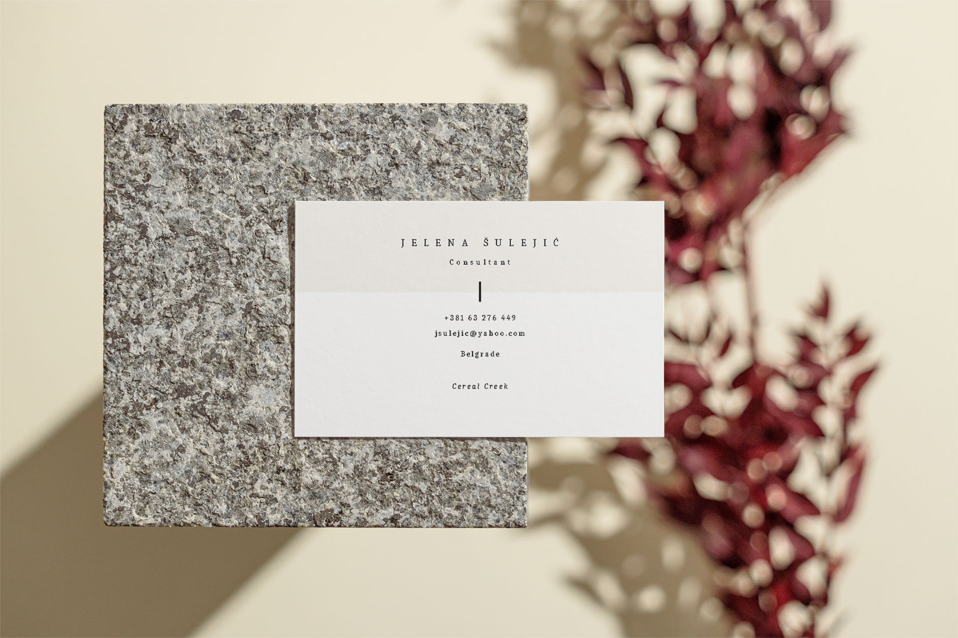 Dizajn vizit karte ND DESIGN